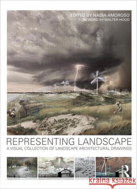 Representing Landscapes: A Visual Collection of Landscape Architectural Drawings Amoroso, Nadia 9780415589574