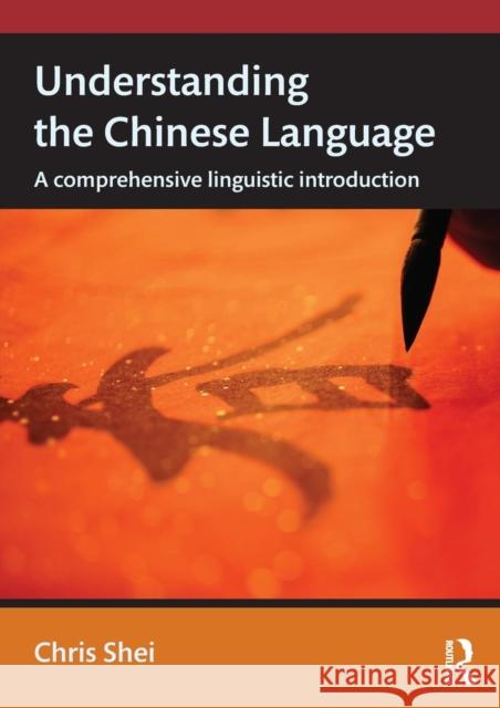 Understanding the Chinese Language: A Comprehensive Linguistic Introduction Shei, Chris 9780415634885 Taylor and Francis