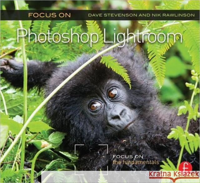 Focus on Photoshop Lightroom: Focus on the Fundamentals Stevenson, Dave 9780415663236 0