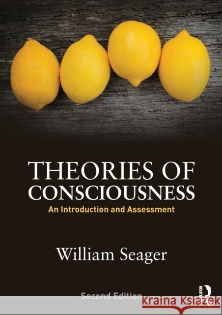 Theories of Consciousness: An Introduction and Assessment William Seager 9780415834094 Routledge