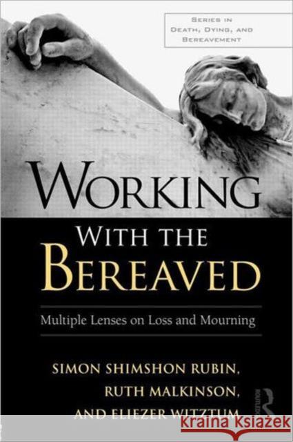 Working with the Bereaved: Multiple Lenses on Loss and Mourning Rubin, Simon Shimshon 9780415881661 0