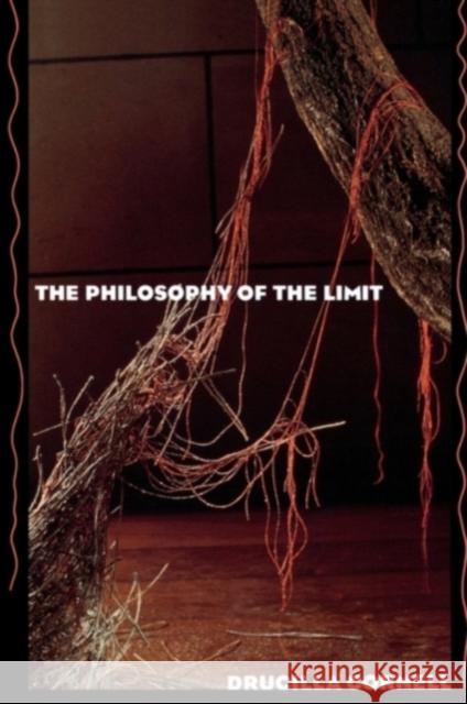 The Philosophy of the Limit Drucilla Cornell D. Cornell Cornell Drucill 9780415902397 Routledge
