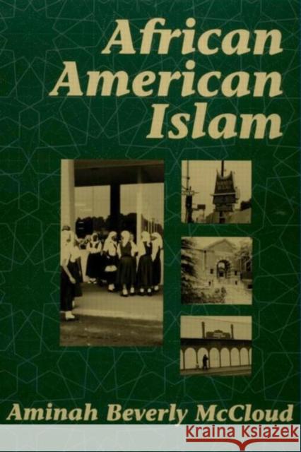 African American Islam Aminah Beverly McCloud 9780415907866