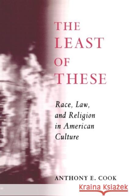 The Least of These : Race, Law, and Religion in American Culture Anthony E. Cook E. Coo 9780415916462 Routledge