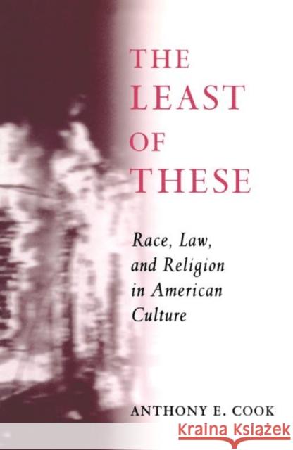 The Least of These: Race, Law, and Religion in American Culture Cook, Anthony E. 9780415916479