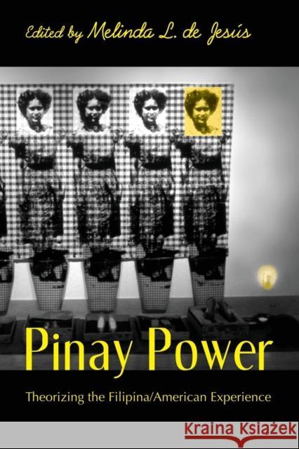 Pinay Power: Peminist Critical Theory de Jesús, Melinda L. 9780415949835 Routledge