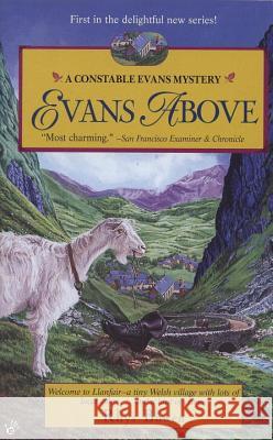 Evans Above Rhys Bowen 9780425166420 Berkley Publishing Group