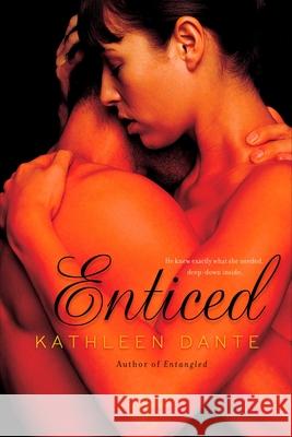 Enticed Kathleen Dante 9780425214916 Berkley Publishing Group