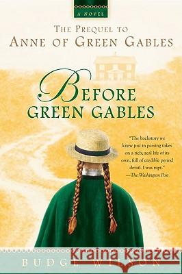 Before Green Gables Budge Wilson 9780425225769