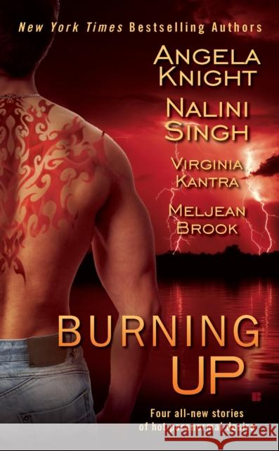 Burning Up Angela Knight Nalini Singh Virginia Kantra 9780425235959 Berkley