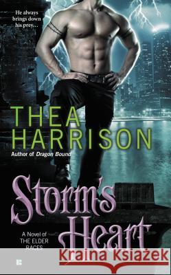 Storm's Heart Thea Harrison 9780425242667 Berkley