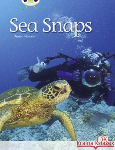 Bug Club Independent Non Fiction Year 1 Green A Sea Snaps Diana Ms Noonan 9780433004462 RIGBY