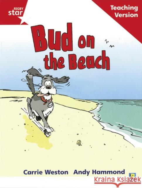 Rigby Star Phonic Guided Reading Red Level: Bud on the Beach Teaching Version  9780433048671 HEINEMANN EDUCATIONAL BOOKS - PRIMARY DIVISIO