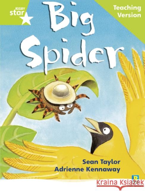 Rigby Star Phonic Guided Reading Green Level: Big Spider Teaching Version  9780433049739 Pearson Education Limited