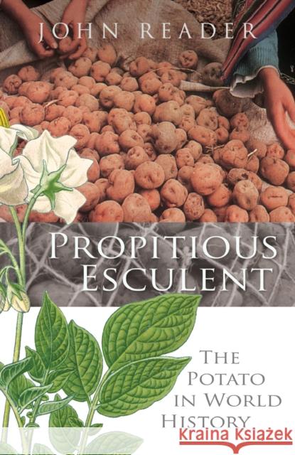 Propitious Esculent : The Potato in World History John Reader 9780434018369