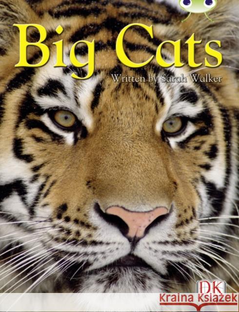 BC NF Brown B/3B Big Cats Sarah Walker 9780435075835