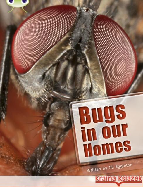 Bug Club Independent Non Fiction Year Two Lime A Bugs in our Homes Eggleton, Jill 9780435076023