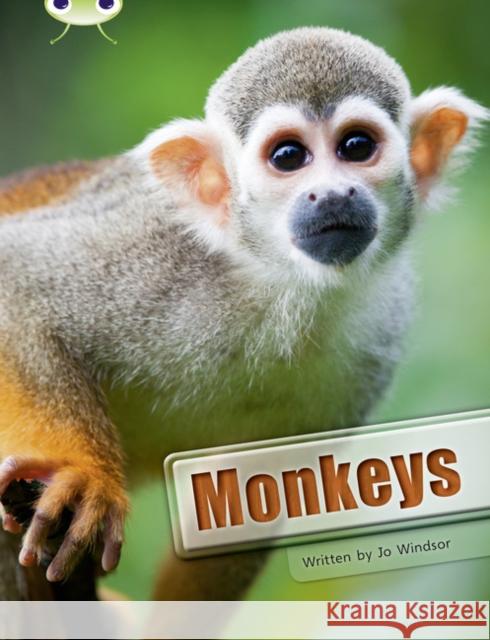 Bug Club Guided Non Fiction Year 3 White A Monkeys Windsor, Jo 9780435076290