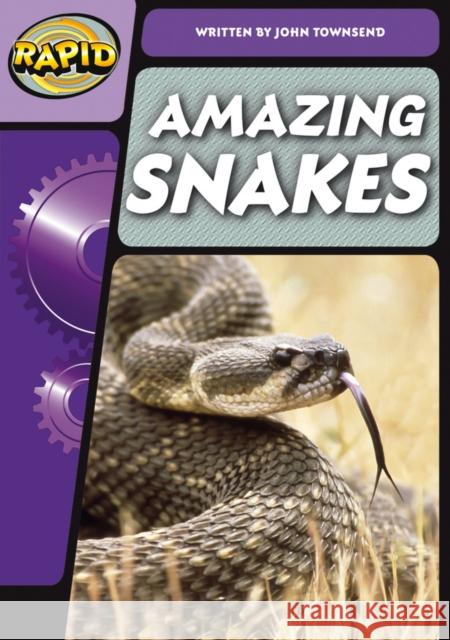 Rapid Phonics Step 3: Super Snakes (Non-fiction) John Townsend 9780435126551