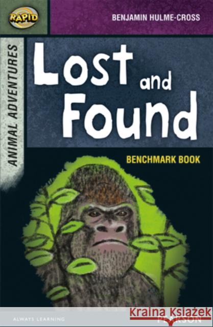 Rapid Stage 7 Assessment book: Lost and Found Dee Reid 9780435152291