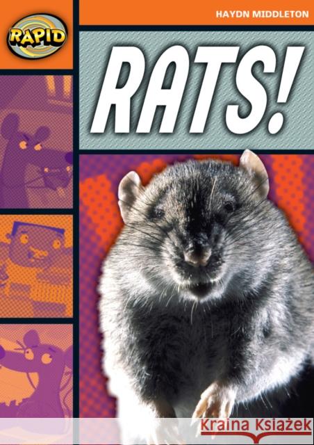 Rapid Reading: Rats! (Stage 4, Level 4B) Haydn Middleton 9780435908171