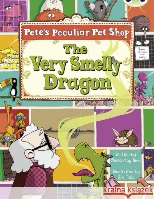 Bug Club Guided Fiction Year Two Gold A Very Smelly Dragon Sheila Bird 9780435914639 Pearson Education Limited