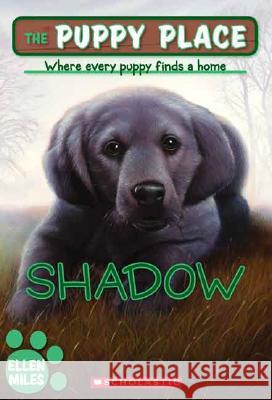 Shadow Ellen Miles 9780439793810 Scholastic Paperbacks