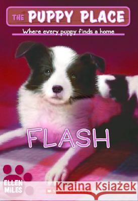 Flash Ellen Miles 9780439874113 Scholastic Paperbacks