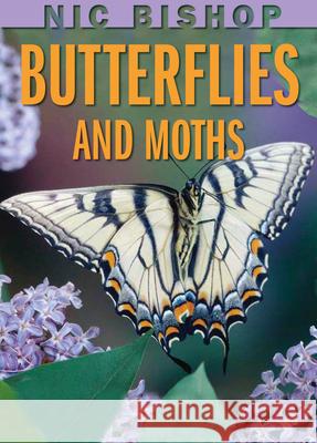 Nic Bishop: Butterflies and Moths Nic Bishop 9780439877572 Scholastic