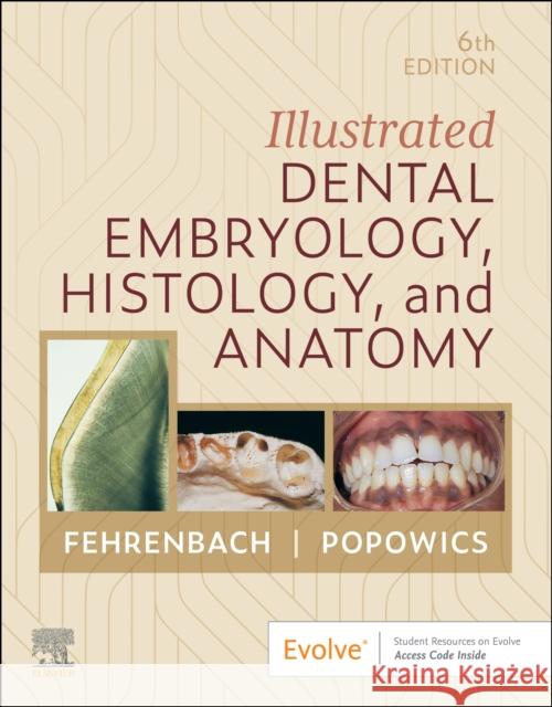 Illustrated Dental Embryology, Histology, and Anatomy Tracy (Associate Professor, Department of Oral Health, Sciences, School of Dentistry, University of Washington, Seattle, 9780443104244 Elsevier Health Sciences