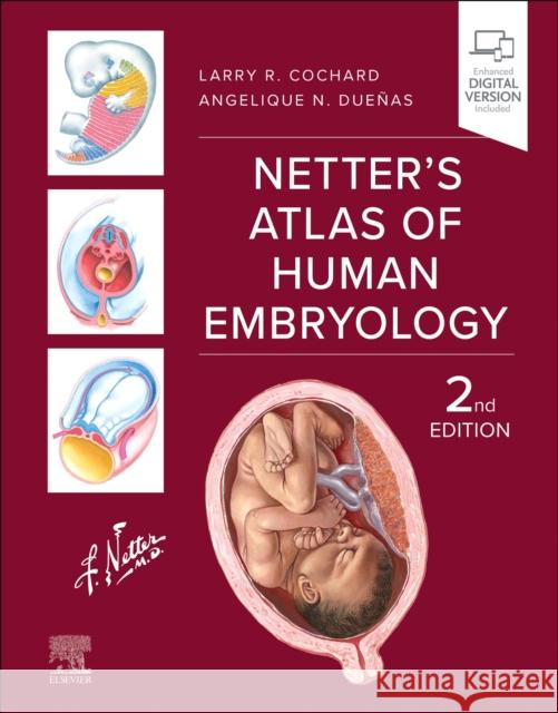 Netter\'s Atlas of Human Embryology  9780443117619 
