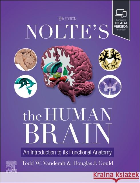 Nolte's The Human Brain: An Introduction to its Functional Anatomy Douglas J. (Distinguished Professor and Chair, Dept of Foundational Medical Studies, Oakland University William Beaumont 9780443126864 Elsevier