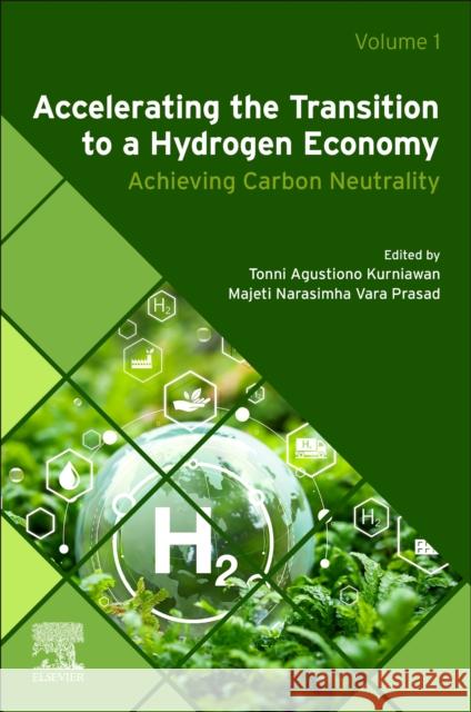 Accelerating the Transition to a Hydrogen Economy: Achieving Carbon Neutrality Tonni Agustiono Kurniawan Majeti Narashima Var 9780443140396 Elsevier