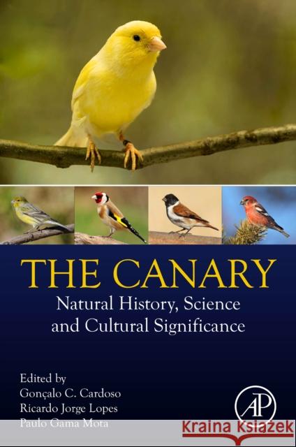 The Canary  9780443153501 Elsevier Science Publishing Co Inc