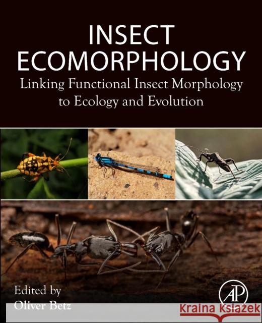 Insect Ecomorphology: Linking Functional Insect Morphology to Ecology and Evolution Oliver Betz 9780443185441 Elsevier Science Publishing Co Inc