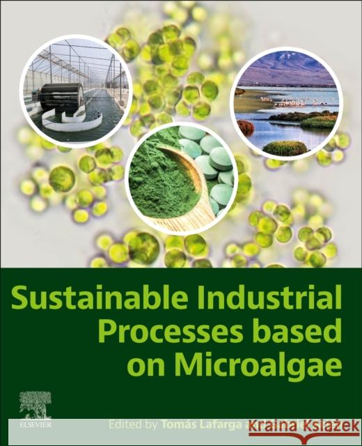 Sustainable Industrial Processes Based on Microalgae Tomas Lafarga Gabriel Acien 9780443192135 Elsevier