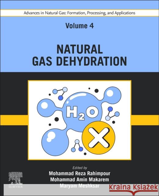 Advances in Natural Gas: Formation, Processing, and Applications. Volume 4: Natural Gas Dehydration  9780443192210 Elsevier - Health Sciences Division