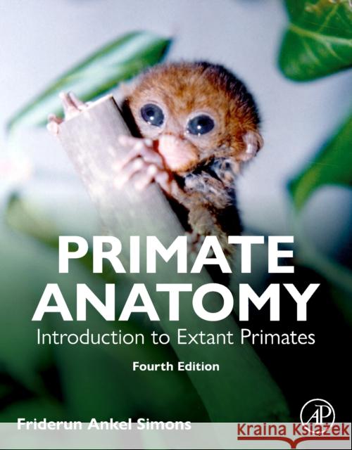 Primate Anatomy Friderun (Department of Evolutionary Anthropology, Duke University, Arizona, USA) Ankel-Simons 9780443217197 Elsevier Science Publishing Co Inc