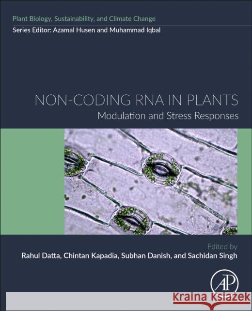 Non-coding RNA in Plants: Modulation and Stress Responses  9780443217845 Elsevier Science Publishing Co Inc