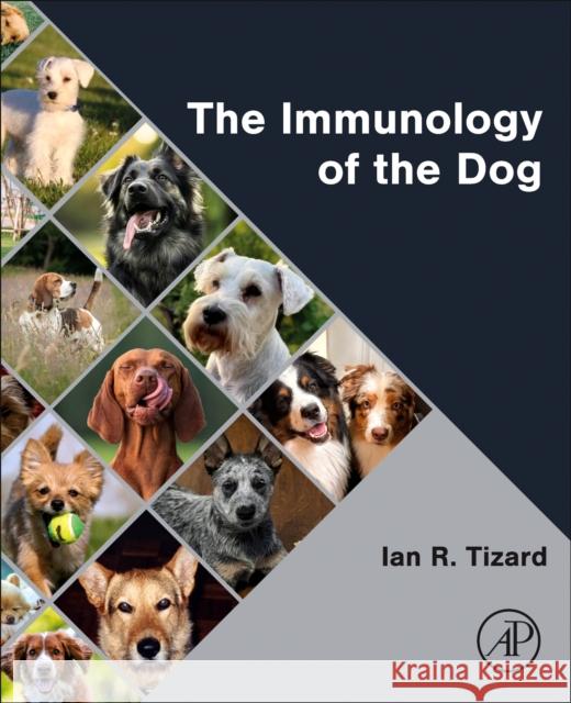 The Immunology of the Dog Ian R. Tizard 9780443236815