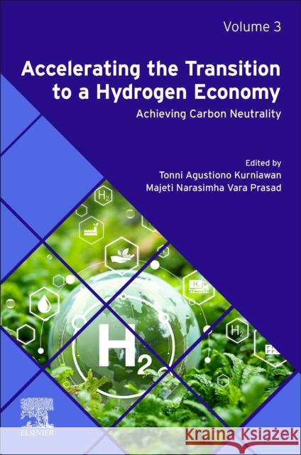 Accelerating the Transition to a Hydrogen Economy: Achieving Carbon Neutrality  9780443240027 Elsevier