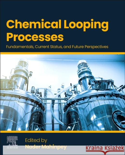 Chemical Looping Processes: Fundamentals, Current Status, and Future Perspectives Nader Mahinpey 9780443266591