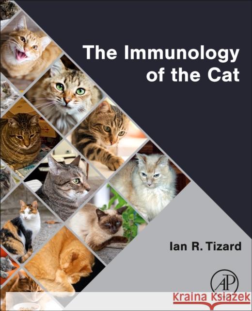 The Immunology of the Cat Ian R. Tizard 9780443291784