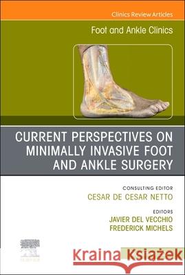 Current Perspectives on Minimally Invasive Foot and Ankle Surgery, an Issue of Foot and Ankle Clinics of North America: Volume 30-3 Javier del Vecchio Frederick Michels 9780443343919 Elsevier