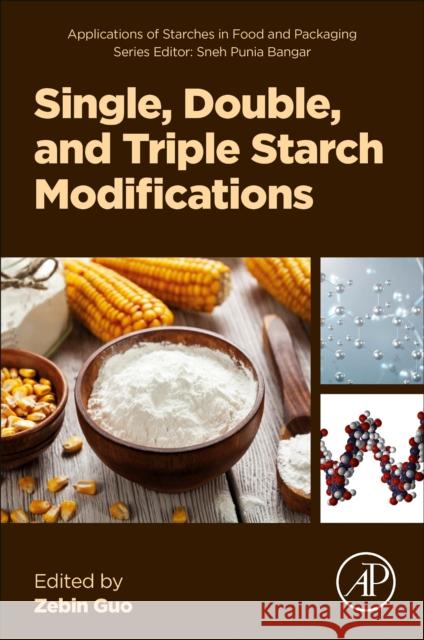 Single, Double, and Triple Starch Modifications Zebin Guo 9780443363245 Academic Press