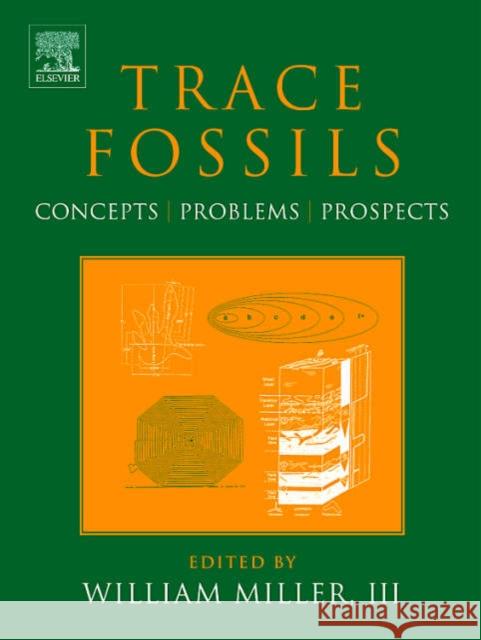 Trace Fossils: Concepts, Problems, Prospects Miller III, William 9780444529497 Elsevier Science