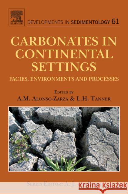 carbonates in continental settings: facies, environments, and processes volume 61  Alonso-Zarza, A. M. 9780444530257 ELSEVIER SCIENCE & TECHNOLOGY