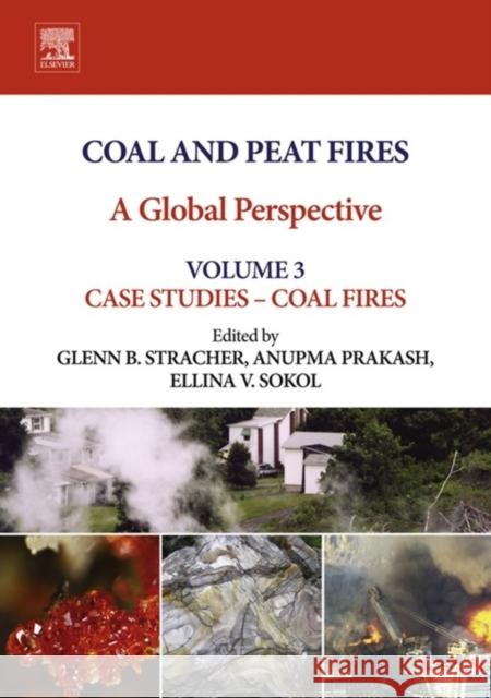 Coal and Peat Fires: A Global Perspective: Volume 3: Case Studies - Coal Fires GlennB. Stracher 9780444595096 Elsevier Science & Technology