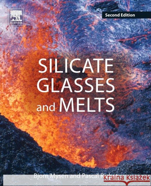 Silicate Glasses and Melts Bjorn O. Mysen (Senior Scientist, Geophy Pascal Richet (Physicist, Institut de Ph  9780444637086 Elsevier Science Ltd