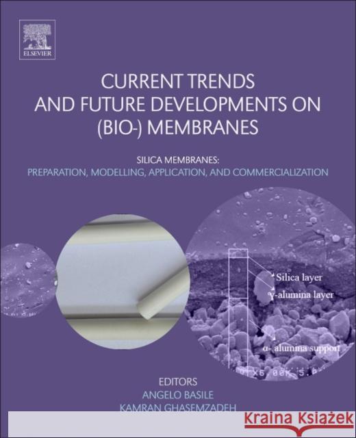 Current Trends and Future Developments on (Bio-) Membranes: Silica Membranes: Preparation, Modelling, Application, and Commercialization Basile, Angelo 9780444638663 Elsevier